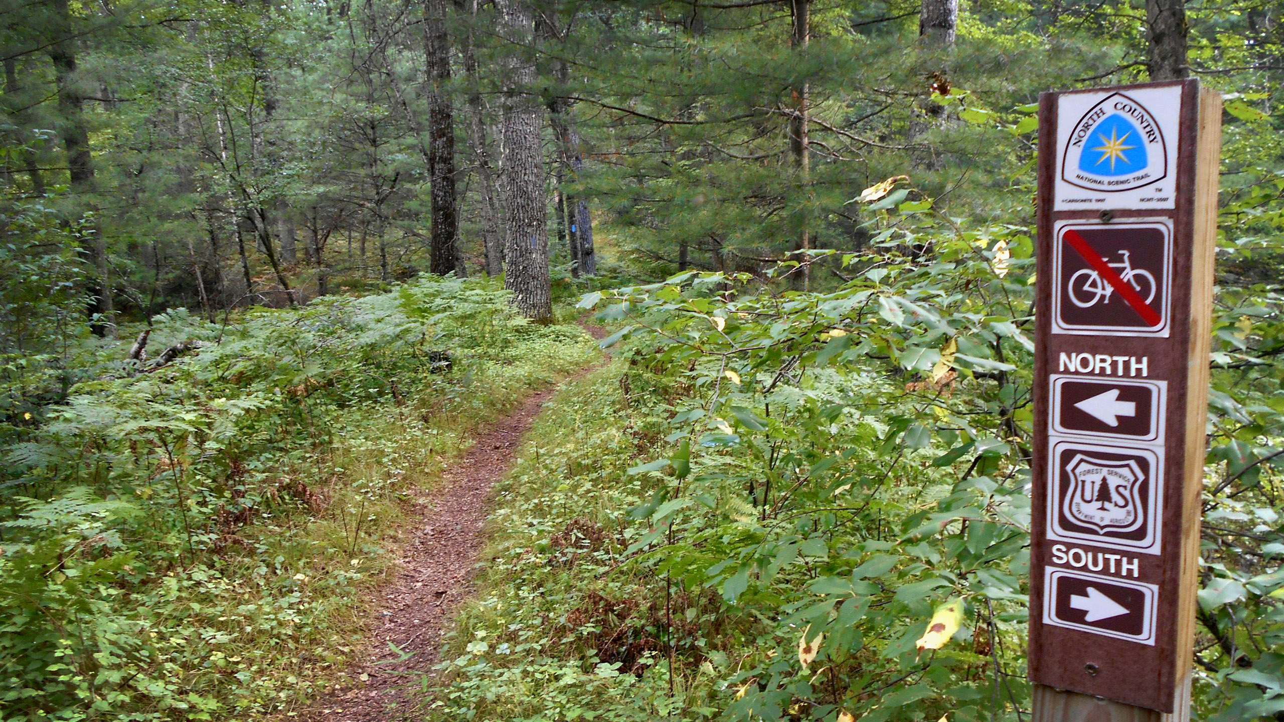 North Country Trail The Porcupine - North Country Trail 1 
