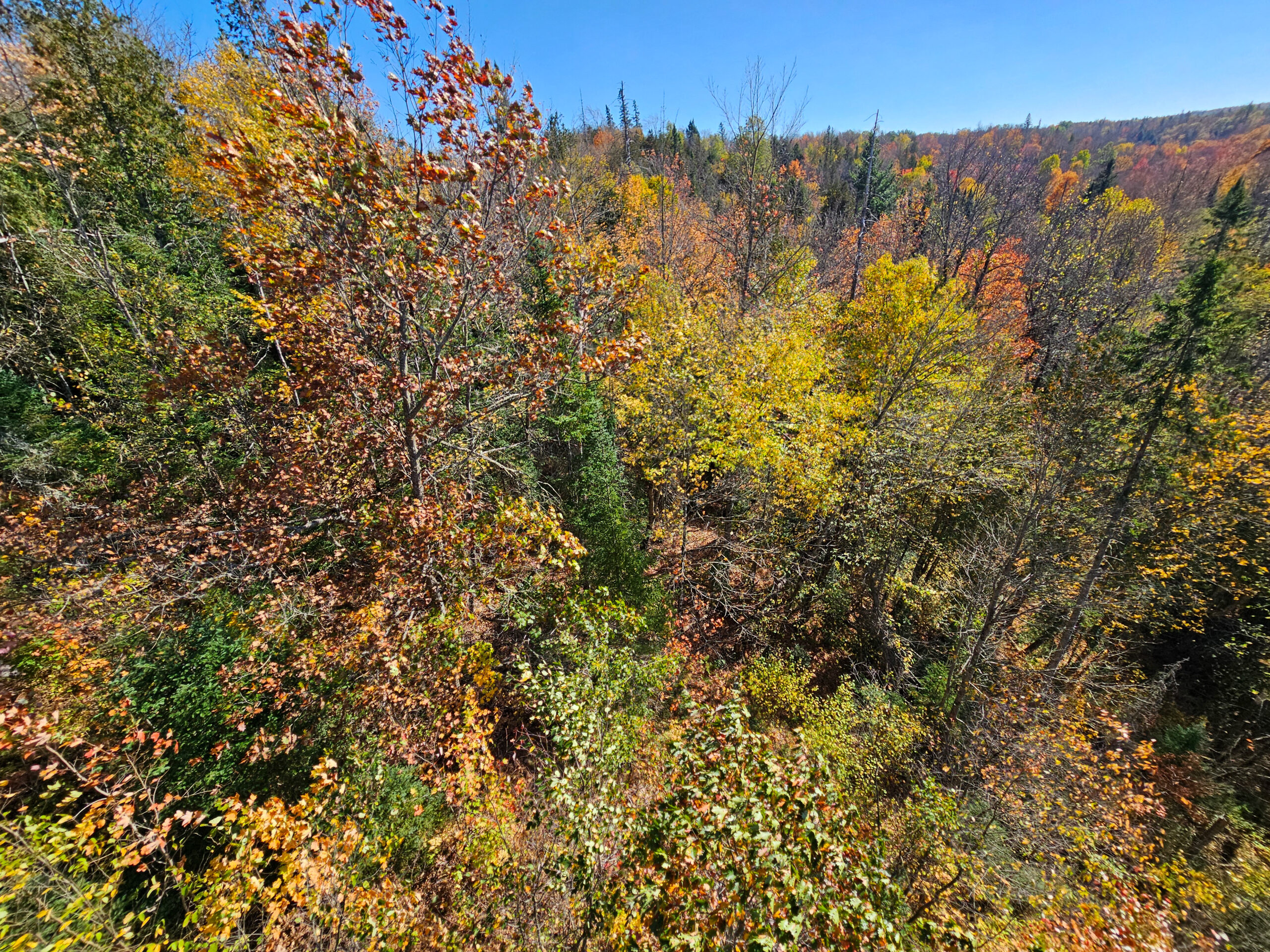 porcupine mountains wilderness state park