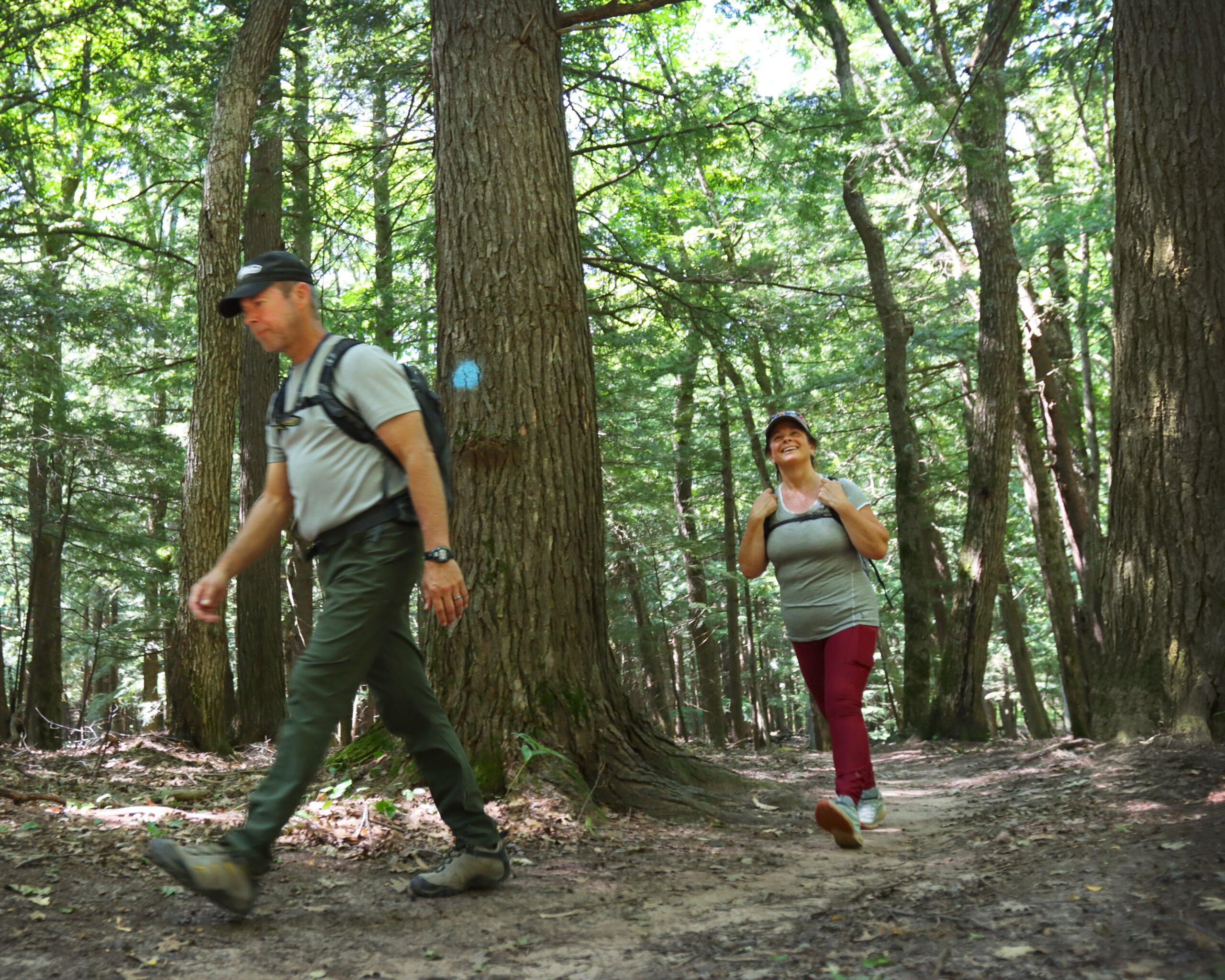 hiking old growth forests porcupine mountains michigan